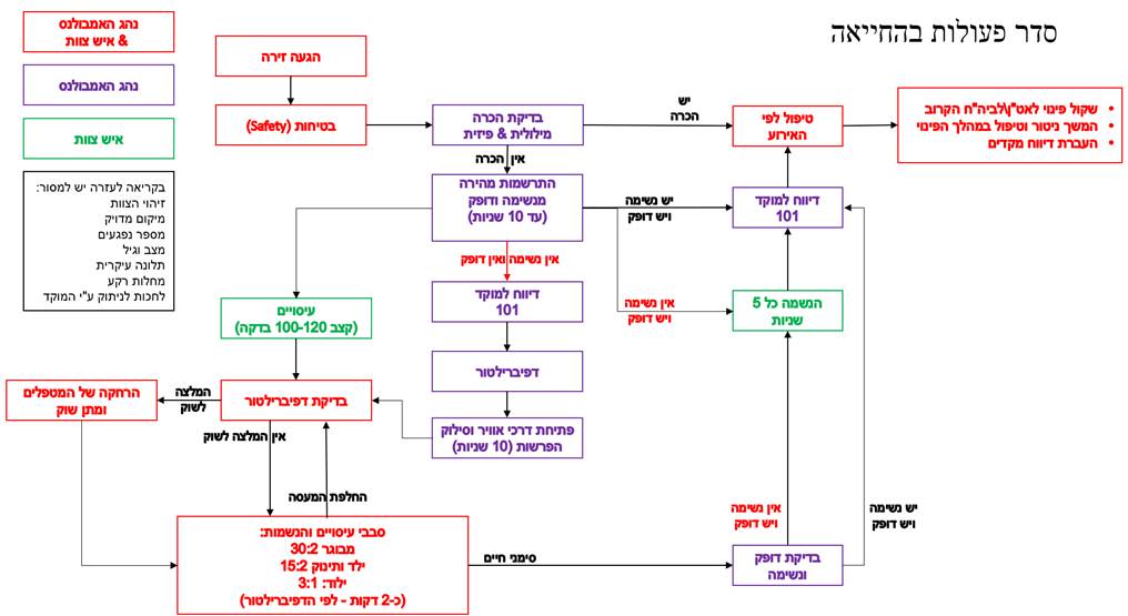 סכימת החייאה